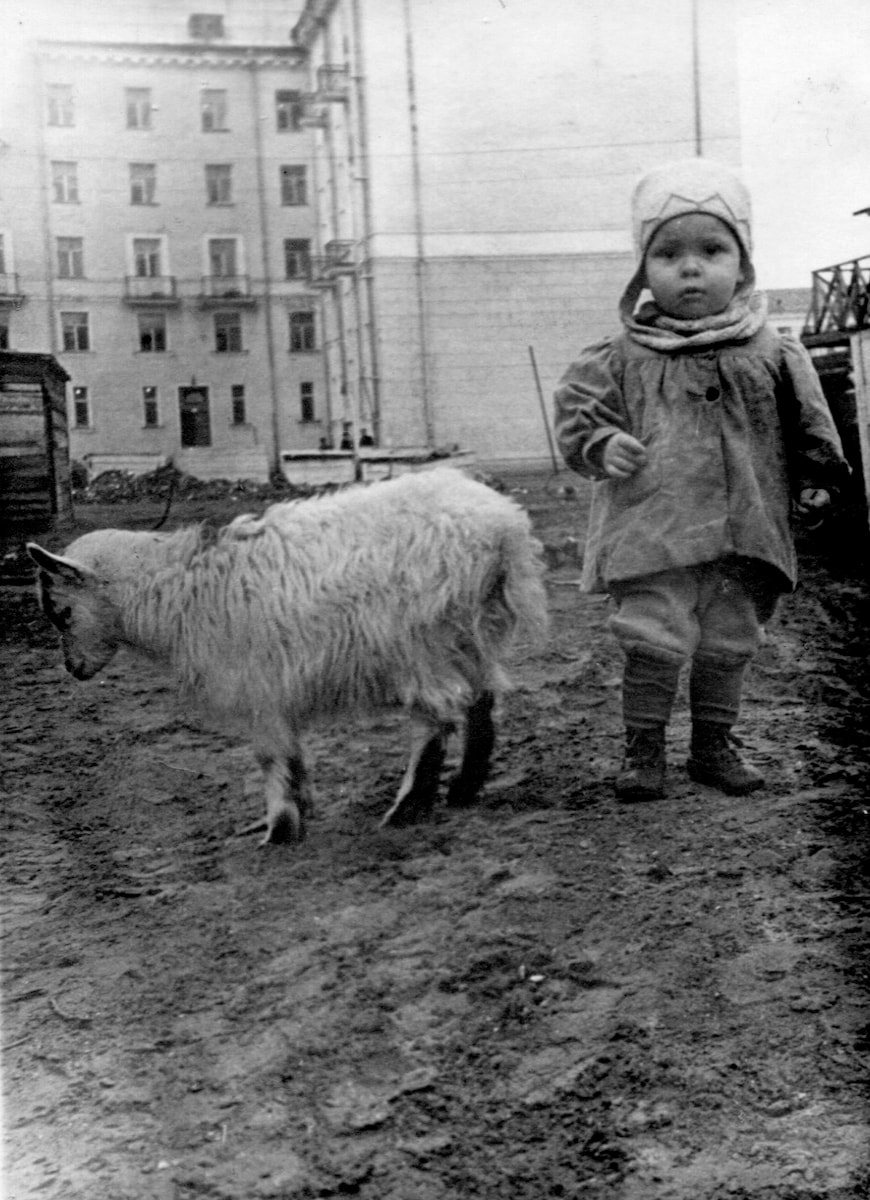 Улица Плюснина
